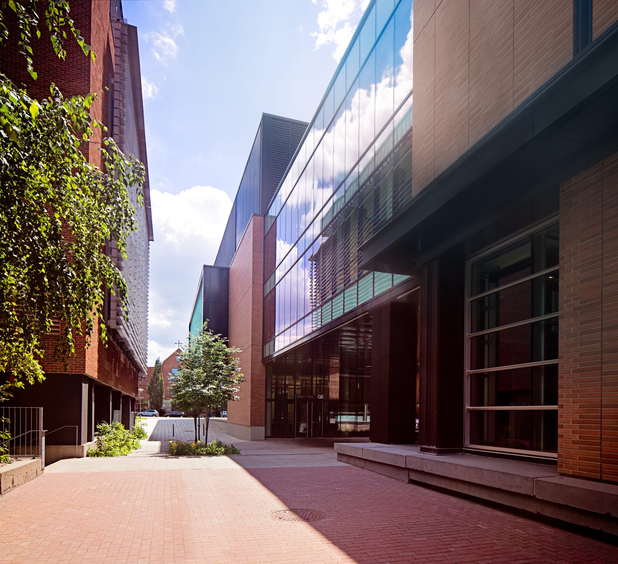 2082_UConcordia_EXT_McComber_Genomiquecorrection-20